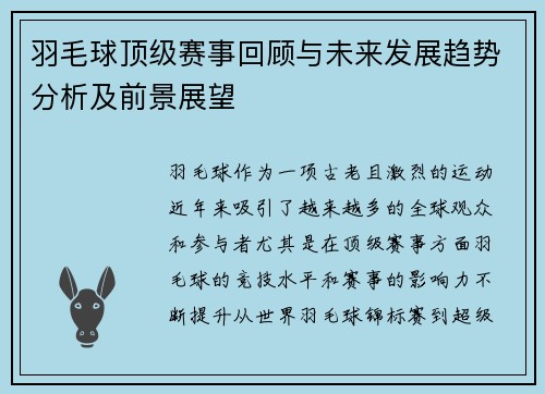羽毛球顶级赛事回顾与未来发展趋势分析及前景展望