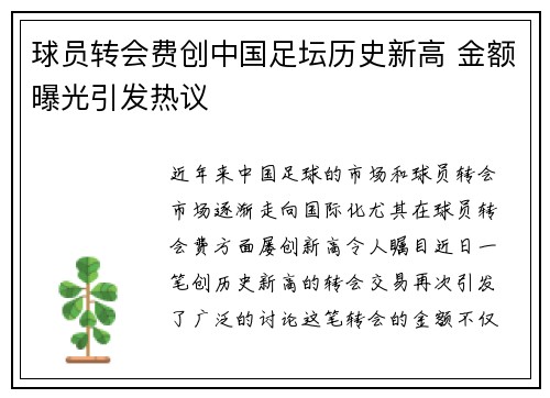 球员转会费创中国足坛历史新高 金额曝光引发热议